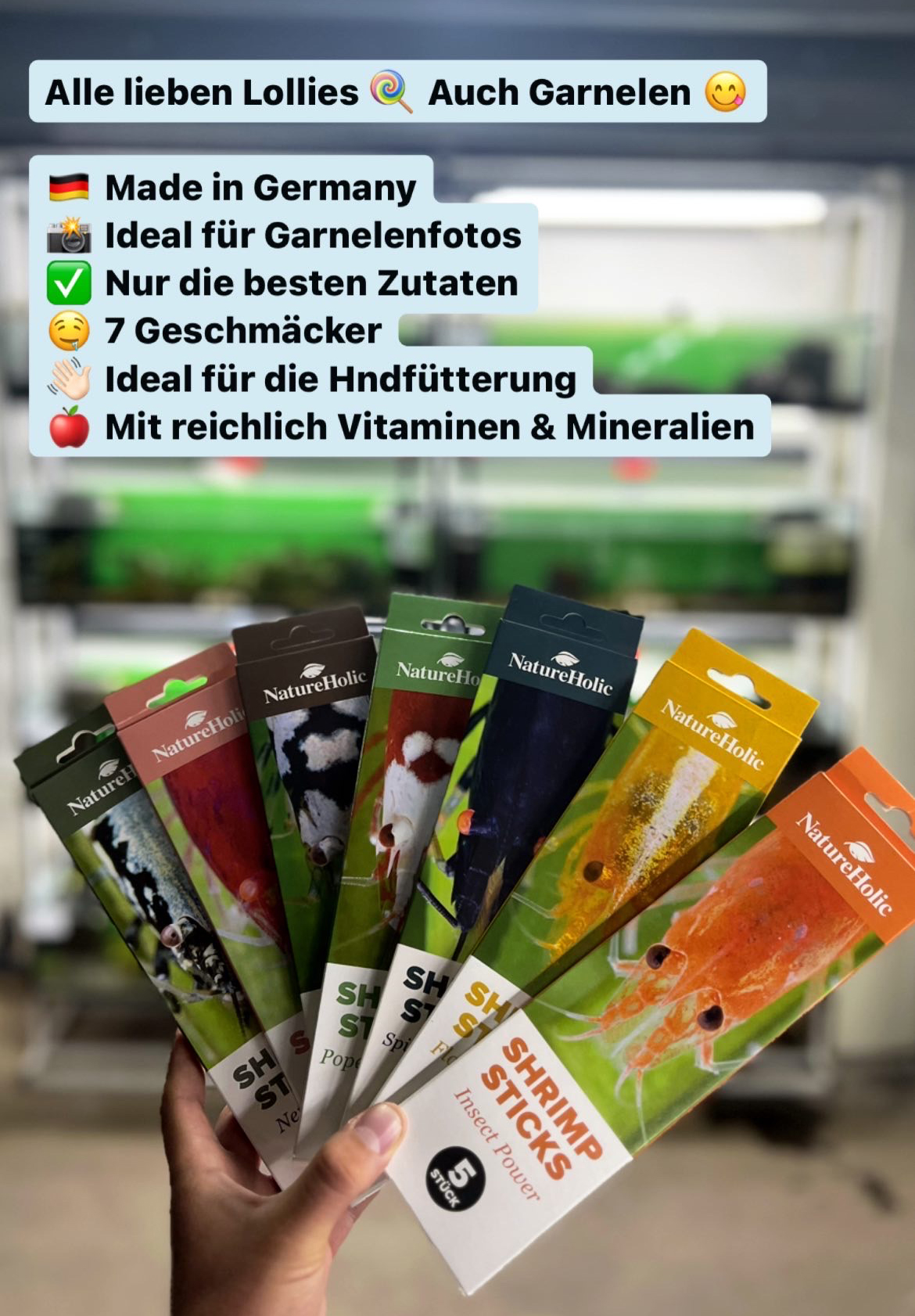 Hand mit NatureHolic Shrimp Sticks (7 Sorten) vor Aquarium